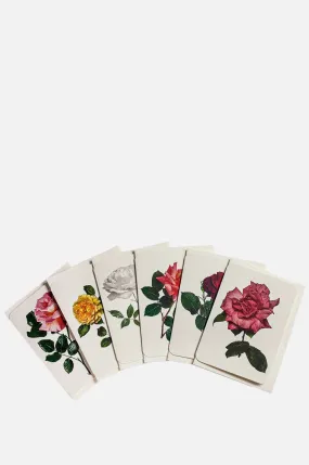 English Garden Roses Set of 6 Notecards